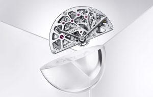 Rotor tự động