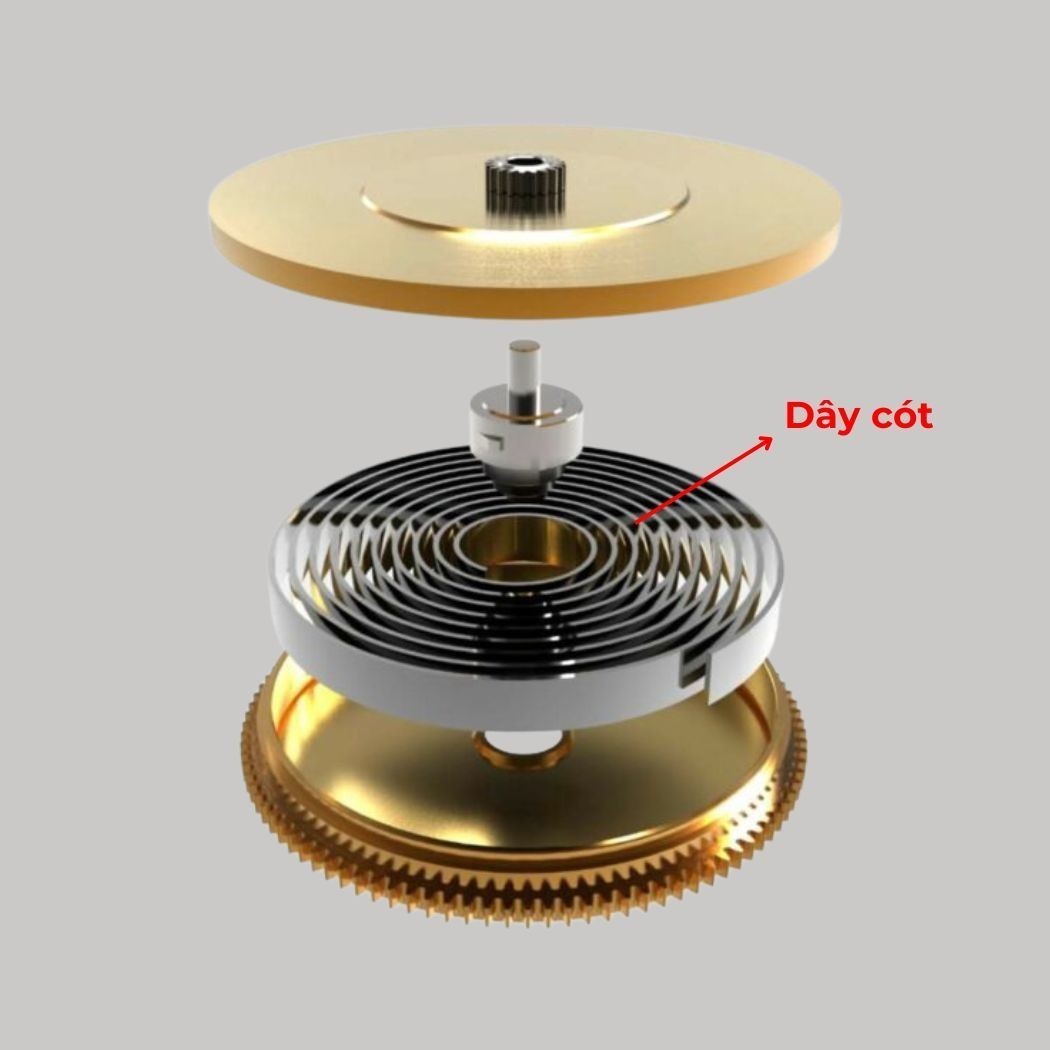 Lực Xoắn Dây Cót Ảnh Hưởng Độ Chính Xác