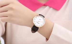 Đồng Hồ Cơ Và Nghệ Thuật Thu Nhỏ Cỗ Máy Cơ Khí